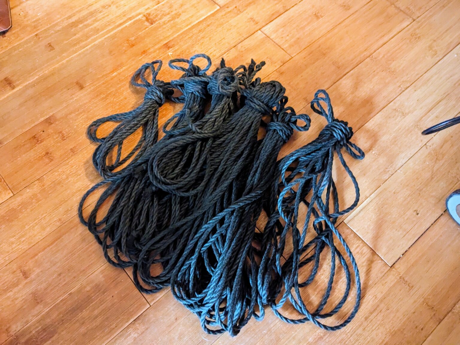 News Knotty NY news-knotty-ny